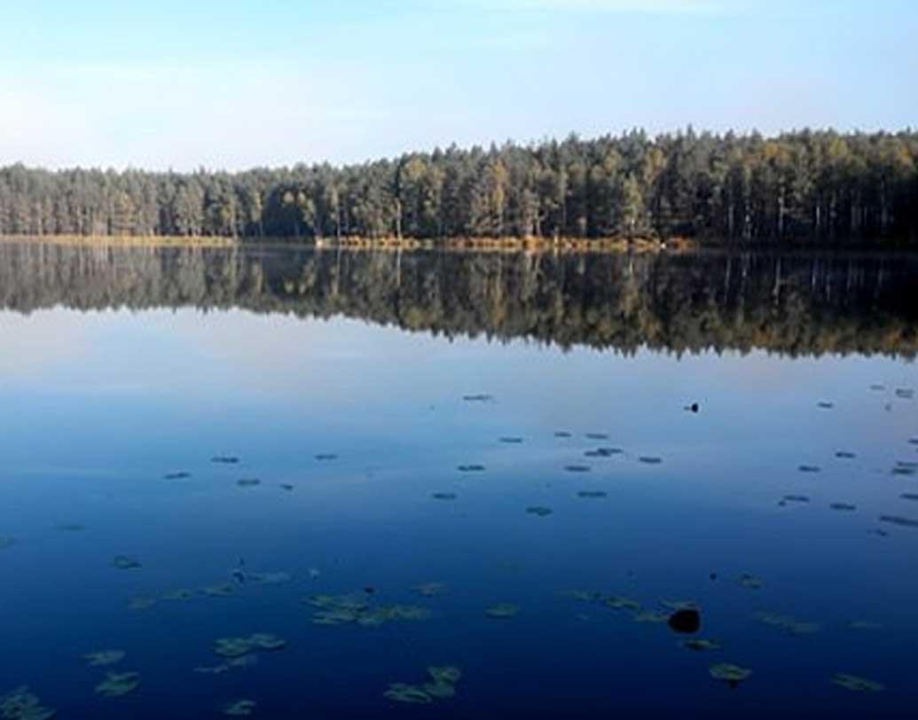 নেপোয়িলনই রাজা আলেকজান্ডার ১-এর দৃষ্টি ঘোরাতে লেক সেমলোভোর কাছে পাঠিয়েছিলেন। আসলে নাকি ১৮১২ সাল থেকে মস্কোর কাছে এই অঞ্চলেই রয়েছে সোনা।