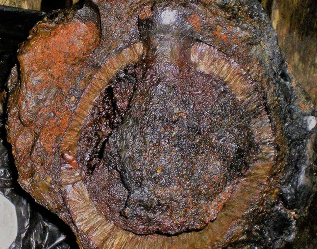 ২০১৭ সালে এই একই উপকূলে একই ধরনের হ্যান্ড গ্রেনেড মিলেছিল। সমুদ্র তটে ভেসে এসেছিল এটি। প্রথমে পাথর ভাবলেও পরে বোঝা যায় এগুলি আসলে গ্রেনেড। এর পর থেকেই এর উত্‌সের খোঁজ শুরু হয়। খোঁজ মেলে প্রাচীন এক রণতরীর।