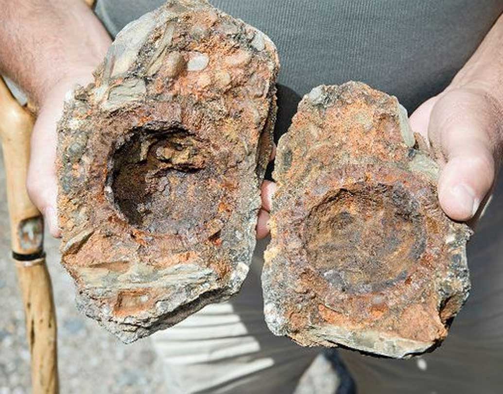 বিশাল বড় একটি কামানেরও সন্ধান মিলেছে এই জাহাজে। ৩০০ বছরেরও বেশি সময় ধরে কামান ও হ্যান্ড গ্রেনেডগুলি ছিল জাহাজের তলদেশে।