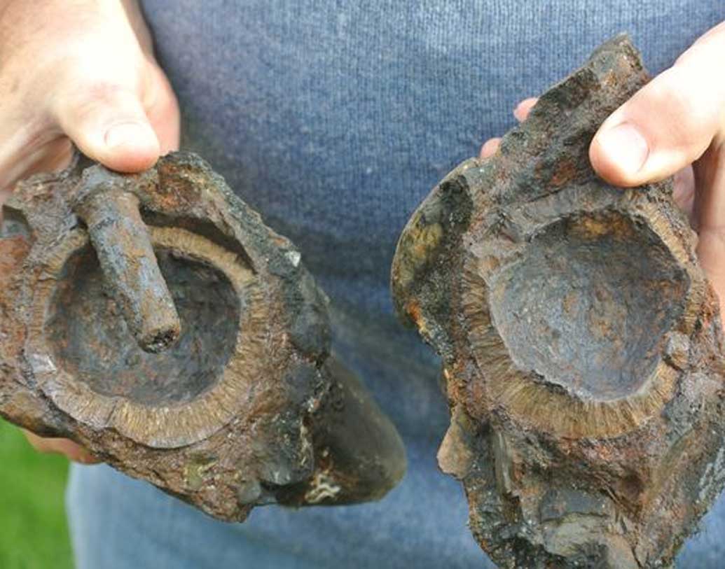 বিশেষজ্ঞরা বলছেন, দূর থেকে শত্রু নিধন করতে এই গ্রেনেডের জুড়ি মেলা ভার। এই গ্রেনেডগুলি সেই আমলের রসায়নবিদ ও প্রযুক্তিবিদদের চরম মেধার নিদর্শন, এমনটাই বলেন ফেল্স।