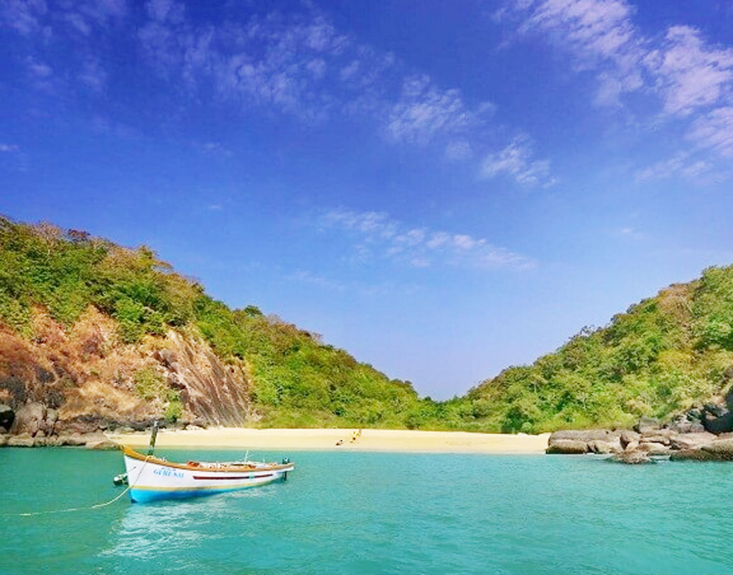 You will find butterflies and dolphins in Buttefly beach of goa dgtl