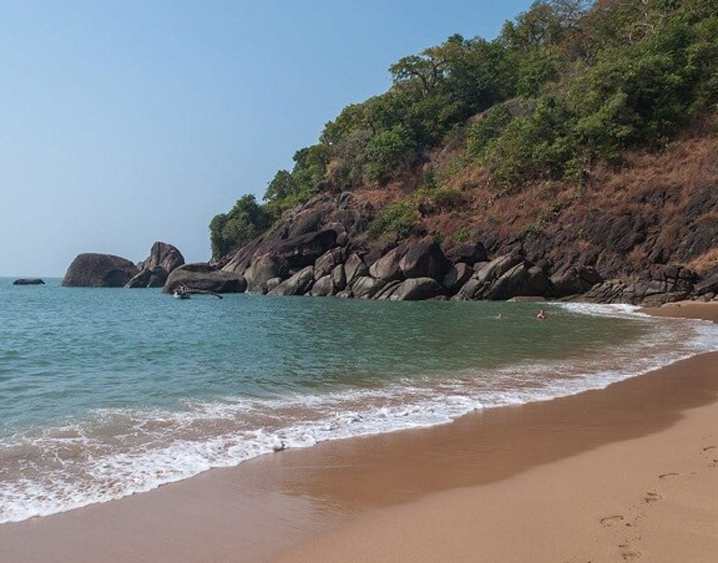 বাটারফ্লাই বিচের আশপাশে কোনও দোকান নেই কিন্তু। তাই বেশি সময়ের জন্য গেলে প্রয়োজনীয় খাবার এবং অবশ্যই পানীয় জল নিয়ে যাওয়া ভাল।