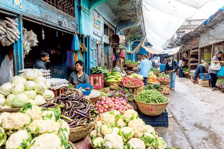Consume food systematically during winter