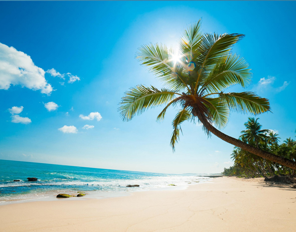 ১৭৩৩ সালে ক্যারিবিয়ান আইল্যান্ড সেন্ট ক্রয়েক্স  ফ্রান্সের থেকে কিনে নিয়েছিল ডেনমার্কের ওয়েস্ট ইন্ডিয়া কোম্পানি। এই অঞ্চলের জন্য ৭ লক্ষ ৫০ হাজার লিভরে  দিয়েছিল কোম্পানি।