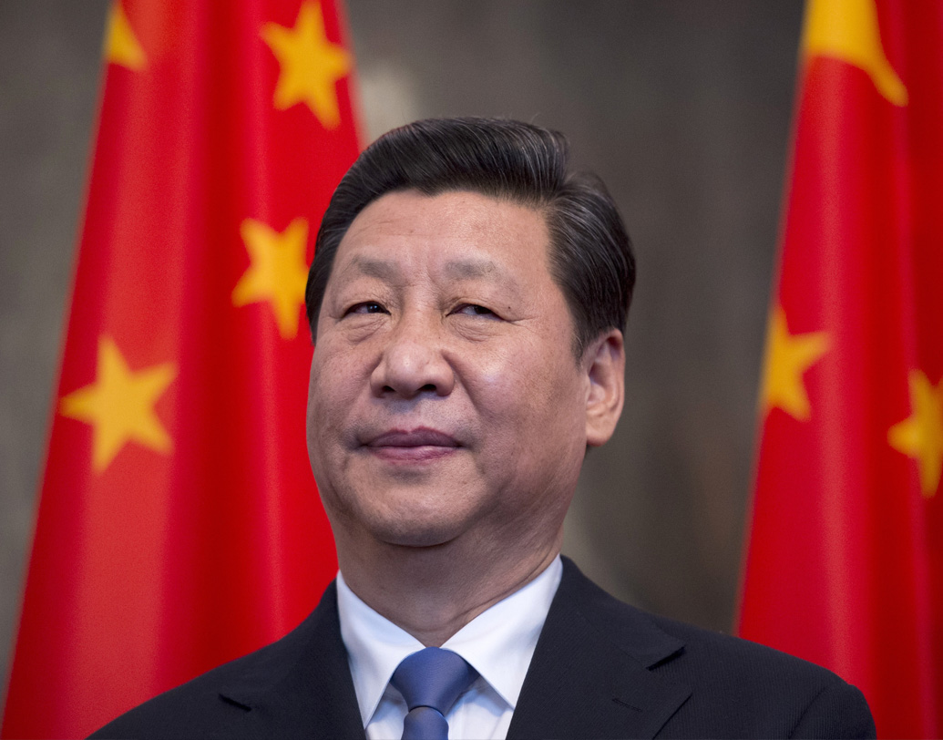 ২০০৭ সালে সপ্তদশ পার্টি কংগ্রেসে তিনি চিনের কমিউনিস্ট পার্টির পলিটব্যুরো স্ট্যান্ডিং কমিটির সদস্য হন। তার পরের বছরই তিনি চিনের ভাইস প্রেসিডেন্ট। তার চার বছর পরে তিনি চিনের কমিউনিস্ট পার্টির জেনারেল সেক্রেটারি পদের দায়িত্বে এবং ২০১৩ সালে চিনের প্রেসিডেন্ট হিসেবে দায়িত্ব গ্রহণ করেন।