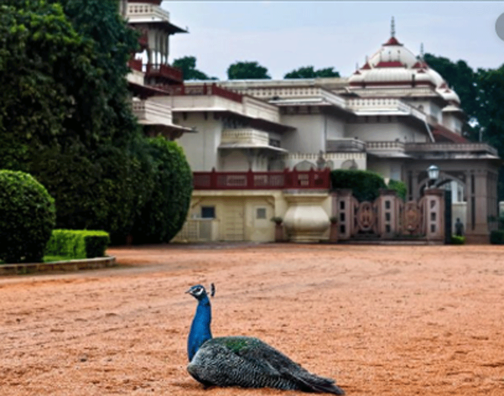 ১৮৮৭ সালে মহারাজা সওয়াই মাধো সিংহের আমলে এই প্রাসাদের ভূমিকা বদলে যায়। রাজকীয় শিকারমহলে পরিণত হয় এটি। প্রাসাদের আশেপাশে ঘন জঙ্গল ছিল, তাই শিকারমহল হিসাবে এটাকেই বেছে নিয়েছিলেন মহারাজ।
