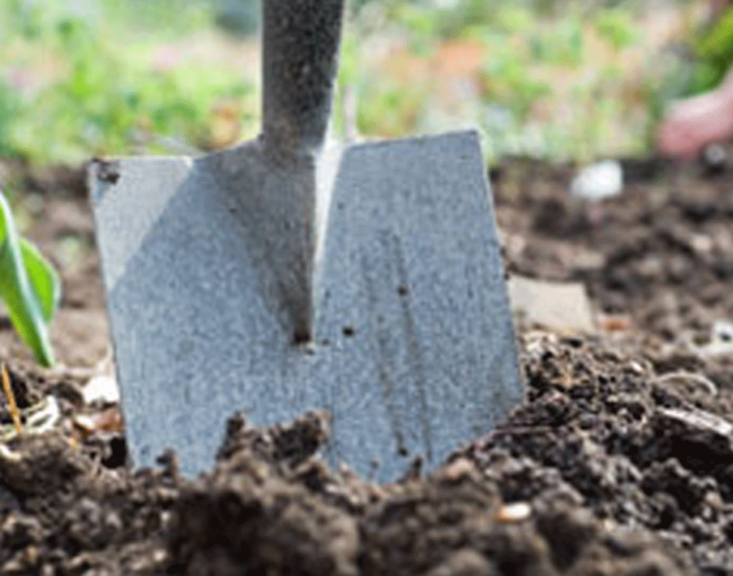 সে দিনই ম্যাকগিনিস বুঝে ফেলেছিলেন, রহস্যজনক, মূল্যবান কিছু লুকিয়ে রাখা হয়েছে এই দ্বীপে। পরদিন আরও দুই বন্ধুর সঙ্গে ফিরে এসে জায়গাটা খুঁড়তে শুরু করেন।