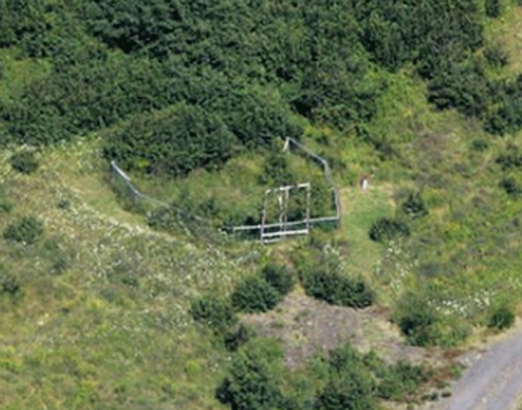 সে দিন ম্যাকগিনিস এবং তাঁর বন্ধুরা মাটির দু’ফুট নীচে একটা বড় পাথর দেখতে পান। উত্তেজনার সঙ্গে সেই পাথরটা টেনে বার করেন তাঁরা। কিন্তু তার নীচে কোনও গুপ্তধন ছিল না।