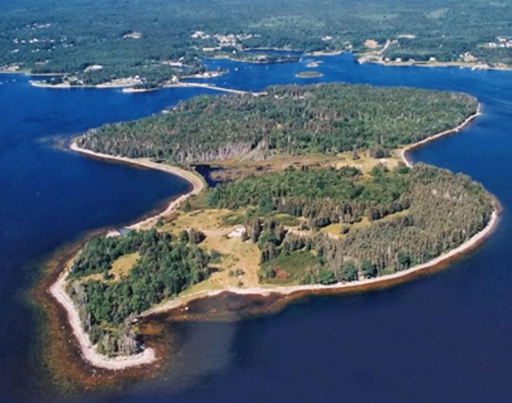 পাম্প চালিয়েও সেই জল বার করে খোঁড়ার কাজ আর শুরু করা যায়নি। সেটা ছিল ১৮০৫ সাল। অনস্লো নামে এক কোম্পানি তখন খোঁজ চালাচ্ছিল গুপ্তধনের। সেই থেকে পরবর্তী ৪০ বছর আর খোঁজা হয়নি গুপ্তধন।