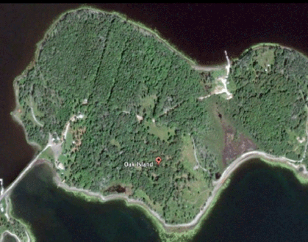 আজ পর্যন্ত কেউই ১৩০ ফুট গভীরে পৌঁছতে পারেননি। উল্টে এই গুপ্তধনের ফাঁদে পা দিয়ে এখনও পর্যন্ত প্রাণ গিয়েছে ৭ জনের। আজও একই ভাবে গুপ্তধনের ফাঁদ পেতে অতলান্তিকের মাঝে জেগে রয়েছে এই ওক আইল্যান্ড।