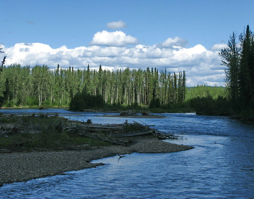 ১৮৯৬ সালে ১৬ অগস্ট প্রথম এই নদীতে সোনার সন্ধান মেলে। মার্কিন খনিজ সন্ধানকারী জর্জ কারম্যাক প্রথম এর সন্ধান দেন। এই খবর ছড়িয়ে পড়ার পর ১৮৯৬ সাল থেকে ১৮৯৯ সাল পর্যন্ত রীতিমতো গোল্ড রাশ হয় ডসন শহরের ক্লনডাইক নদীতে।