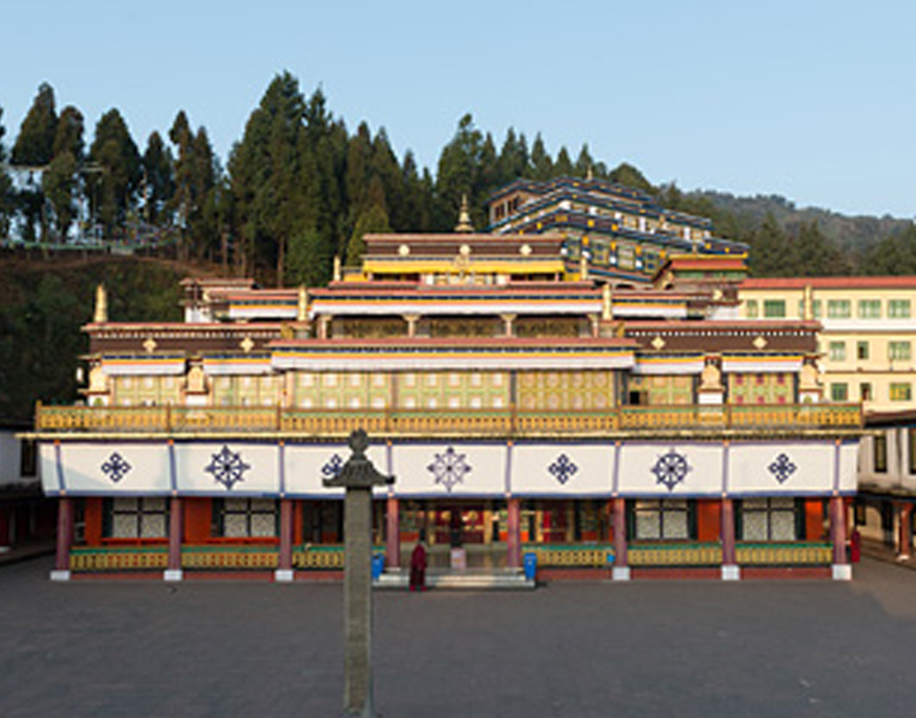 ১৯৬৬ সালে তিনি সিকিমের রুমটেক বৌদ্ধ মঠে দীক্ষা গ্রহণ করেন ষোড়শ কর্মপার কাছে। তাঁর নতুন নাম হয় ‘সিস্টার পালমো’। ষাট বছর বয়সে তিনি-ই হলেন বৌদ্ধধর্মের ইতিহাসে প্রথম পাশ্চাত্যের ভিক্ষুণী।  (ছবি: সোশ্যাল মিডিয়া)