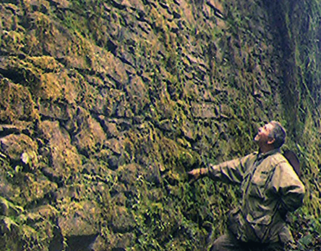 সে কারণে ২০১৩ সালে তার খোঁজ পেলেও বা নগরের অবস্থান সম্বন্ধে অনুমান করলেও হেঁটে জঙ্গলের ভিতর নগরের খোঁজ চালাতে পারেননি ইতিহাসবিদেরা। তার উপর জঙ্গল খুব ঘনও ছিল।