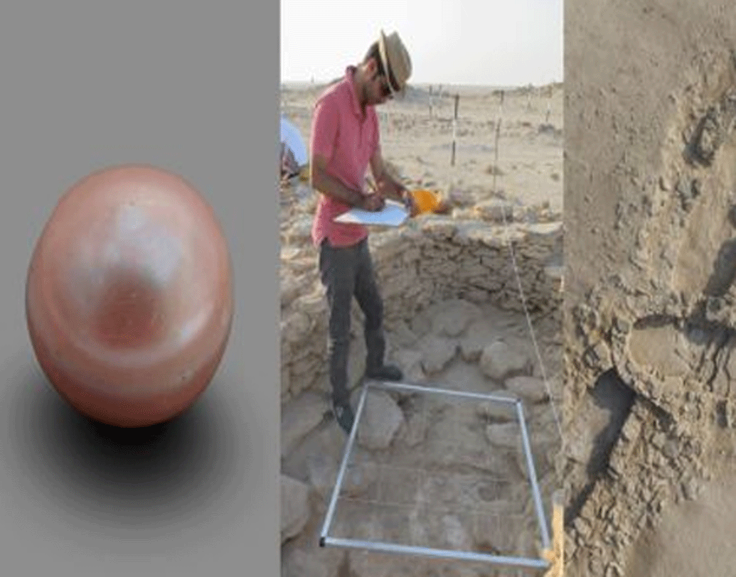 কিন্তু জানেন ছবিতে যে গোলাকার মুক্তো দেখতে পাচ্ছেন, তা ৮ হাজার বছরের পুরনো! ৮ হাজার বছর আগে কোনও এক ঝিনুকের বুকে জন্ম হয়েছিল এই মুক্তোর।