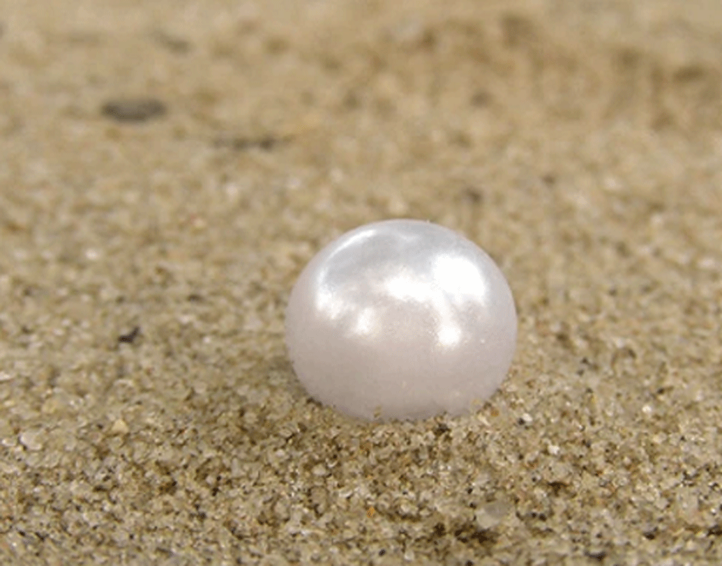 মুক্তোটি পরীক্ষা করে গবেষকরা জানিয়েছেন, এটি নব্য প্রস্তর যুগের। মুক্তোর আশেপাশে নব্য প্রস্তর যুগের পাথরের স্তম্ভ মিলেছে।
গবেষণা করে জানা গিয়েছে, এটি ৫৮০০-৫৬০০ খ্রিস্টপূর্ব আমলের।