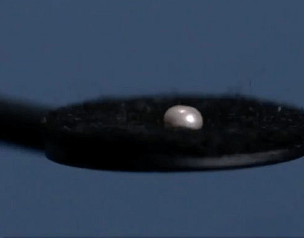 এখন যাকে তেলের দেশ বলে সারা বিশ্ব জানে, এই মুক্তো এক সময় সেই সংযুক্ত আরব আমিরশাহির দেশের অর্থনীতির ধারক ছিল, জানিয়েছেন গবেষকরা।