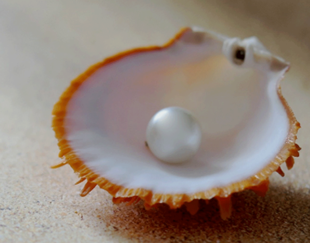 তবে গবেষকদের একটা বিষয় অবাক করেছে। আট হাজার বছর ধরে মাটির তলায় চাপা পড়ে থাকা মুক্তো এতটা ঝলমলে কী করে রয়েছে এখনও? তা জানার চেষ্টা চালাচ্ছেন তাঁরা।