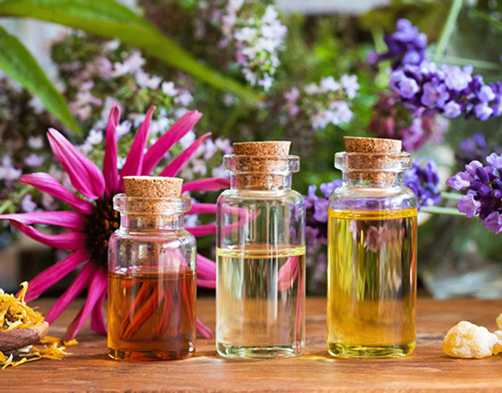 ক্রমে শিনীলের পরিশ্রমে ব্যবসার প্রসার ঘটতে শুরু করে। মুম্বইয়ের এক বিখ্যাত ধনি পরিবার তাঁর প্রোডাক্টের নমুনা দেখতে আগ্রহী হয়। নমুনা ব্যবহার করে ভীষণ খুশি হয়ে শিনীলের থেকে অনেক প্রোডাক্ট কিনে নেন তাঁরা।