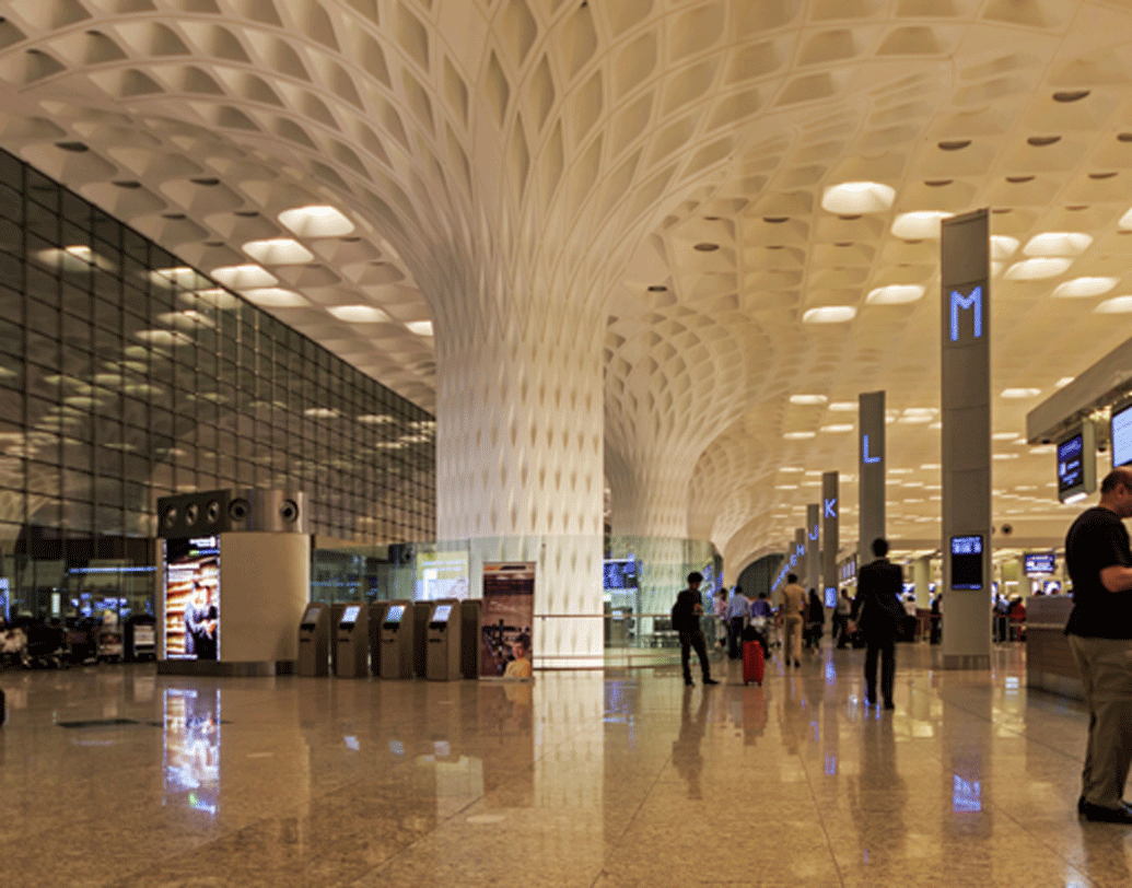 তাঁর অন্য কিছু করার ইচ্ছা করছিল। মুম্বই বিমানবন্দরে একটি আর্টস অ্যান্ড ক্রাফ্টসের দোকান তাঁর ভাগ্য বদলে দিল। ওই দোকানে একটি কাঠের হাতি ৪ হাজার টাকায় বিক্রি করছিল দোকানকার।