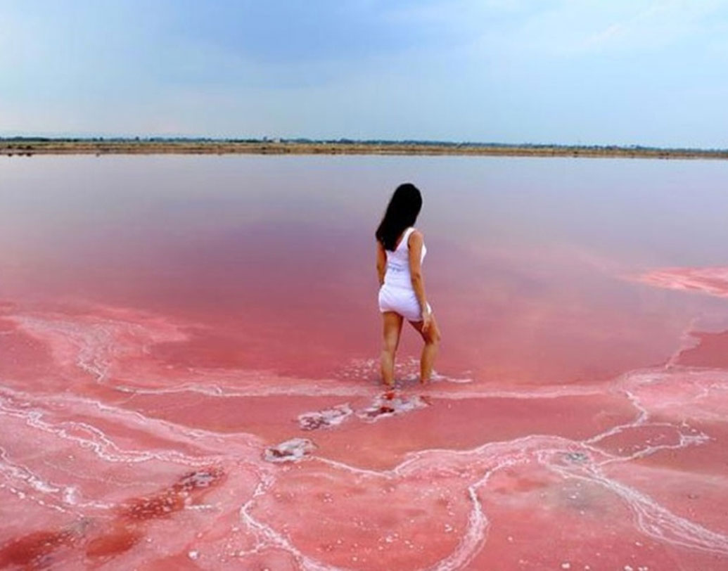 তবে নীল হোক বা গোলাপি, লেক হিলিয়ারের জলে গা ভাসাতে অনেকেরই উৎসাহের শেষ নেই। কেন?