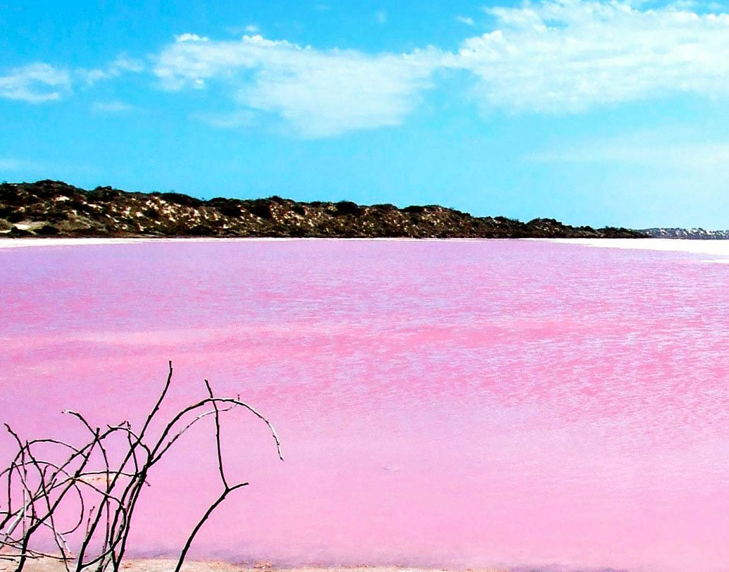 ২০১৫-তে মিডল আইল্যান্ডের লেক হিলিয়ারের জলের রং নিয়ে গবেষণা শুরু করেন এক্সট্রিম মাইক্রোবায়োমি প্রজেক্ট (এক্সএমপি)-এর এক দল বিজ্ঞানী। সে হ্রদের জল কেন গাঢ় গোলাপি, তার সন্ধান শুরু করেন তাঁরা।