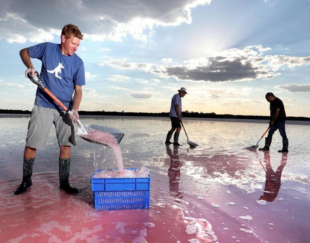 এক্সএমপি-র বিজ্ঞানীরা প্রথমে ভেবেছিলেন, লেক হিলিয়ারের আশপাশের লবণাক্ত পরিবেশে বেশ কিছু এক্সট্রিমোফিল থাকার জন্য হয়তো তার জলের এ রকম রং। এক্সট্রিমোফিল হল তীব্র প্রতিকূল পরিবেশে মানিয়ে নিতে পারা কিছু আণুবিক্ষনিক জীব।