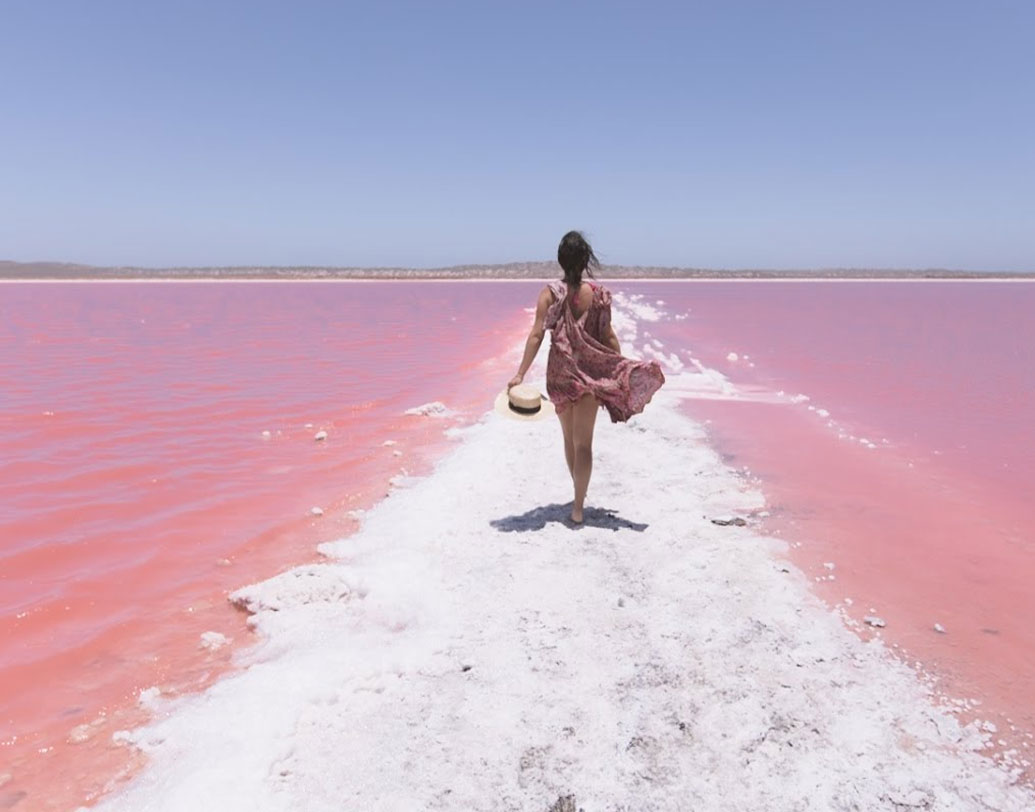 মিডল আইল্যান্ডে গিয়ে বিজ্ঞানীরা প্রথমেই লেক হিলিয়ারের জলের নমুনা সংগ্রহ করেন। এর পর এক্সট্রিমোফিলগুলোর ডিএনএ বিশ্লেষণ করেন তাঁরা। কী মেলে সে পরীক্ষায়?