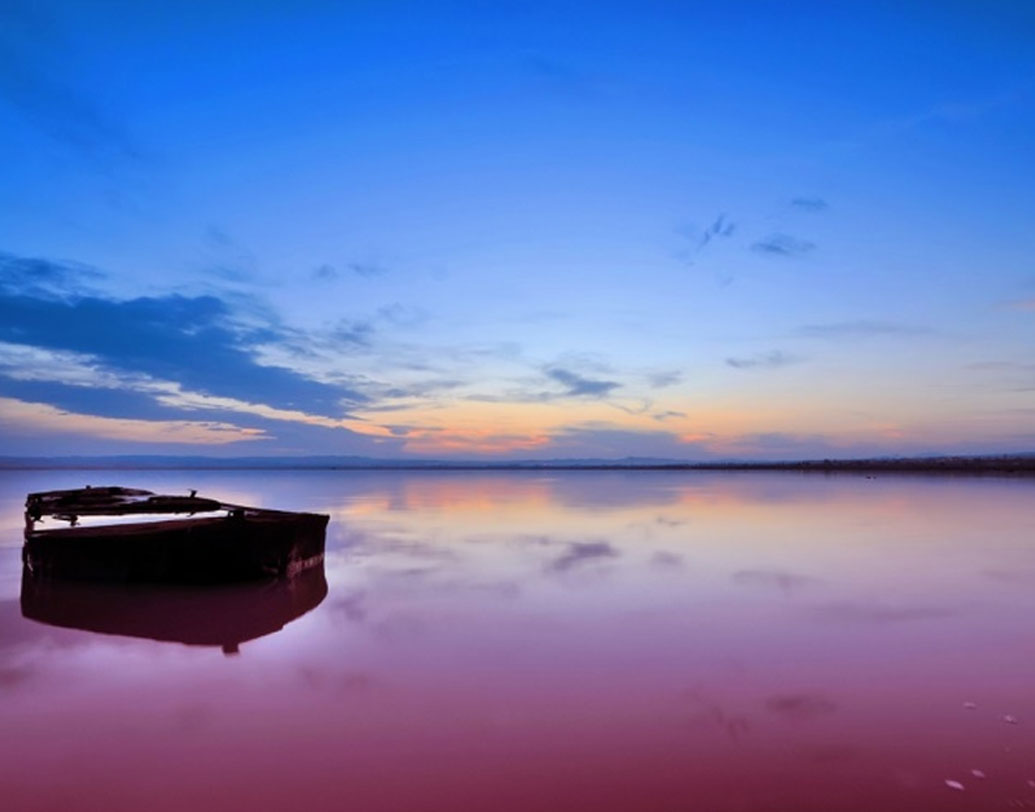 বিজ্ঞানীরা জানিয়েছেন, লেক হিলিয়ারের জলের যে নমুনা সংগ্রহ করেছেন তাঁরা, তার ৩৩ শতাংশ জুড়ে ছিল স্যালিনিব্যাকটের রাবার নামের এক বিশেষ ব্যাকটিরিয়া।