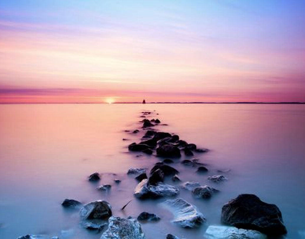 এক্সএমপি-র বিজ্ঞানীদের দাবি, কোনও শ্যাওলা নয়, বরং লেক হিলিয়ারের গোলাপি রঙের জলের পিছনে রয়েছে স্যালিনিব্যাকটের রাবার নামের ওই বিশেষ ব্যাকটেরিয়ার হাত।