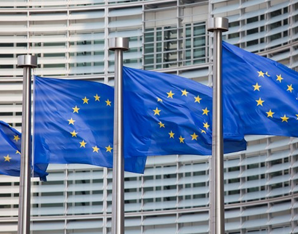 ফলে ইউরোপীয় ইউনিয়নের নেতাদের অনেকেই বিষয়টি নিয়ে খুশি নন। আগেই বিবৃতি দিয়ে এই সফর থেকে দূরত্ব বাড়িয়েছে ইউরোপীয় ইউনিয়ন। তারা জানিয়েছে, নিতান্তই ‘ব্যক্তিগত’ সফরে গিয়েছেন পার্লামেন্টের ওই সদস্যেরা। (ছবি:সোশ্যাল মিডিয়া)