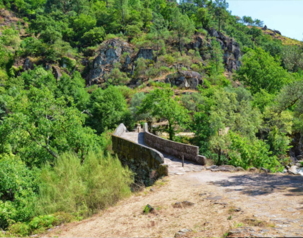 সেই রাতেই নাকি প্রচণ্ড প্রাকৃতিক দুর্যোগ শুরু হয়ে যায়, আর তার মধ্যেই ভক্তের ডাকে সাড়া দিয়ে শয়তান এসে হাজির হয় তার সামনে।