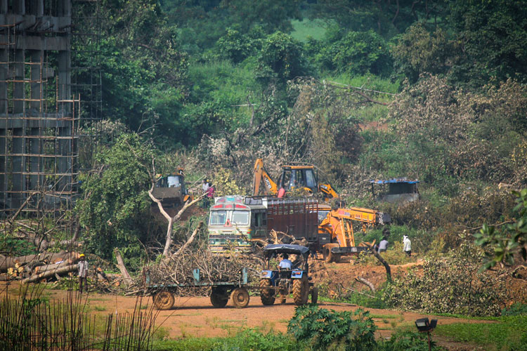 ছবি: পিটিআই।