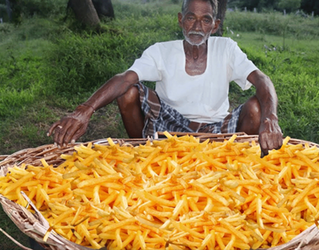 প্রতিটা ভিডিয়ো শুরুই হত গ্র্যান্ডপার ইংরাজি সংলাপ দিয়ে। পুরো ভিডিয়োতে তিনি ইংরাজিতেই কথা বলতেন।