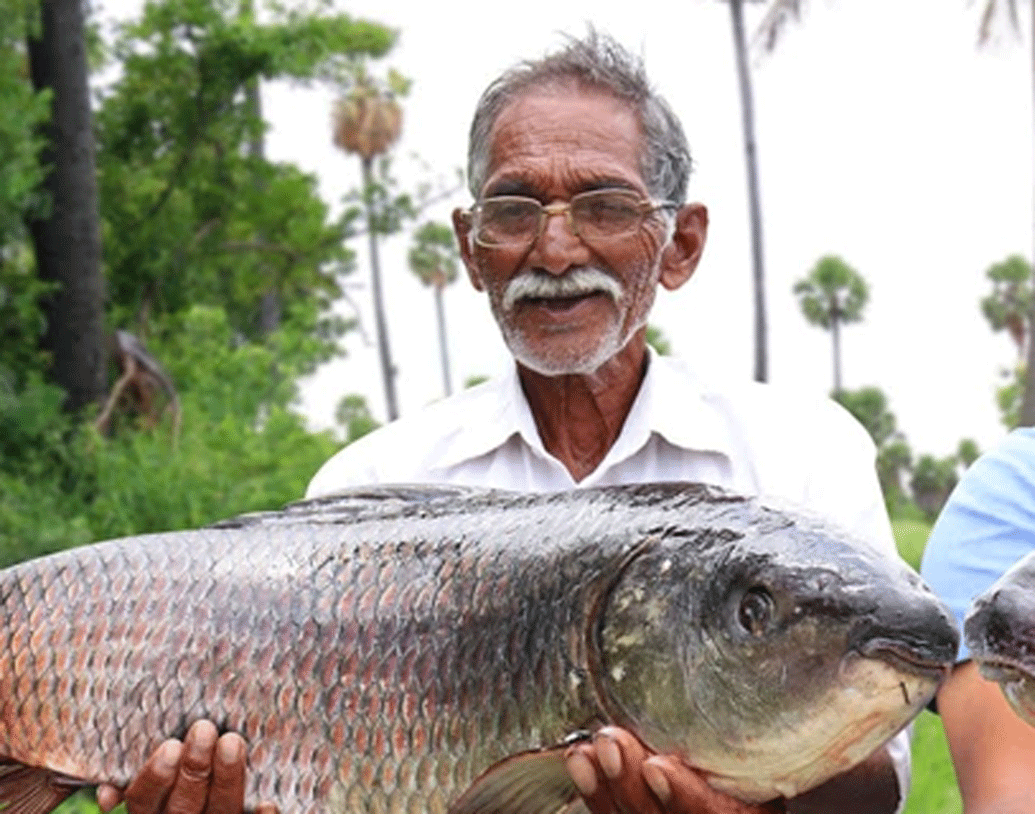 ২০১৭ থেকে ২০১৯ এই দু’বছরে তিনি ২২০ রকম পদ রান্না করেছেন তিনি। এই মাত্র দু’বছরেই তাঁর ইউটিউব ফলোয়ার ৬০ লক্ষ ১১ হাজার। আর ফেসবুক ফলোয়ার ৫ লাখ ৩০ হাজার!