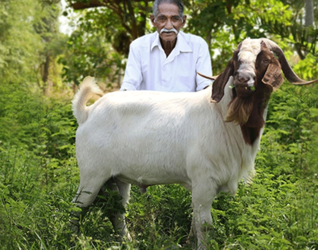 তবে ‘গ্র্যান্ডপাজ কিচেন’ বন্ধ হবে না। অনাথ শিশুদের খাওয়ানোর যে স্বপ্ন নারায়ণ দেখেছিলেন, তা পূর্ণ করার কথা জানিয়েছেন তাঁর সহকর্মীরা। গ্র্যান্ডপার শেষযাত্রার ভিডিয়োয় তা জানিয়েছেন করেছেন তাঁরা।