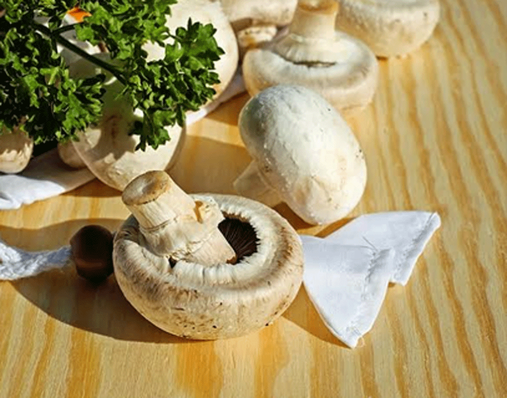 সেই ‘কিছু করার’ ইচ্ছা থেকেই এমবিএ-র চাকরি থেকে জৈব চাষাবাদ শুরু করেন মনিকা। মাশরুম চাষ শুরু করেন তিনি। মাত্র দু’বছরের মধ্যে মাশরুম চাষে তাঁর উপার্জন কত দাঁড়িয়েছে জানেন?