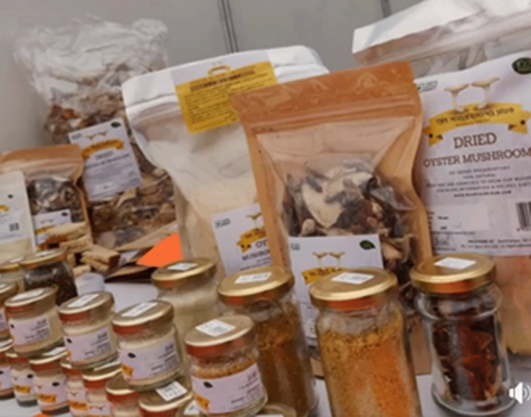 প্রোটিন, ফাইবার এবং মিনারেলের খুব ভাল উত্স মাশরুম। মানুষের সুস্বাস্থ্য নিয়ে কাজ করার যে ইচ্ছা ছিল, সেটাও পূর্ণ হওয়ার সম্ভাবনা মাশরুম চাষে দেখতে পান তিনি।