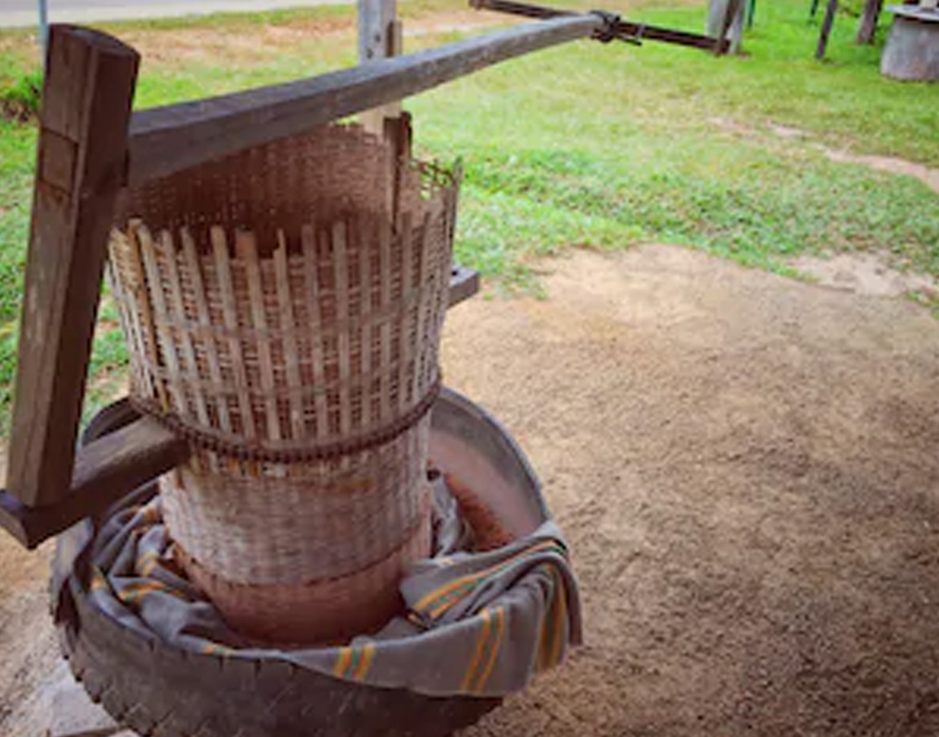 অকালমৃত্যুর দিনকয়েক আগেই ছিল বাজির জন্মদিন। তবে, নামেই ‘জন্মদিন’, অভাবের সংসারে এর কোনও আলাদা অর্থ বিশেষ ছিল না। বাজির মা দিনভর পড়শিদের বাড়িতে ঢেঁকি পাড়তেন। তবেই ঘরে আসত সামান্য খুদকুঁড়ো।