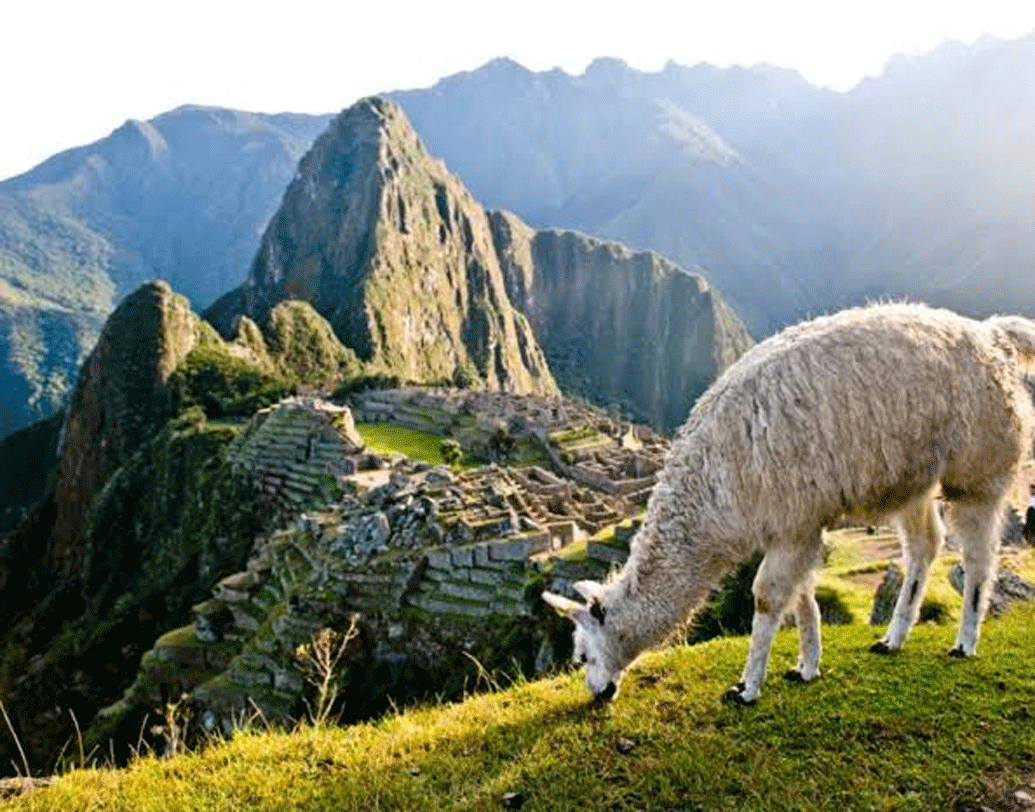 ইতিহাসবিদেরা এই উচ্চতায় স্তম্ভ, বসবাসের ঘর এবং বড় প্রাচীরের মতো দেওয়ালের ধ্বংসাবশেষ উদ্ধার করেছেন।