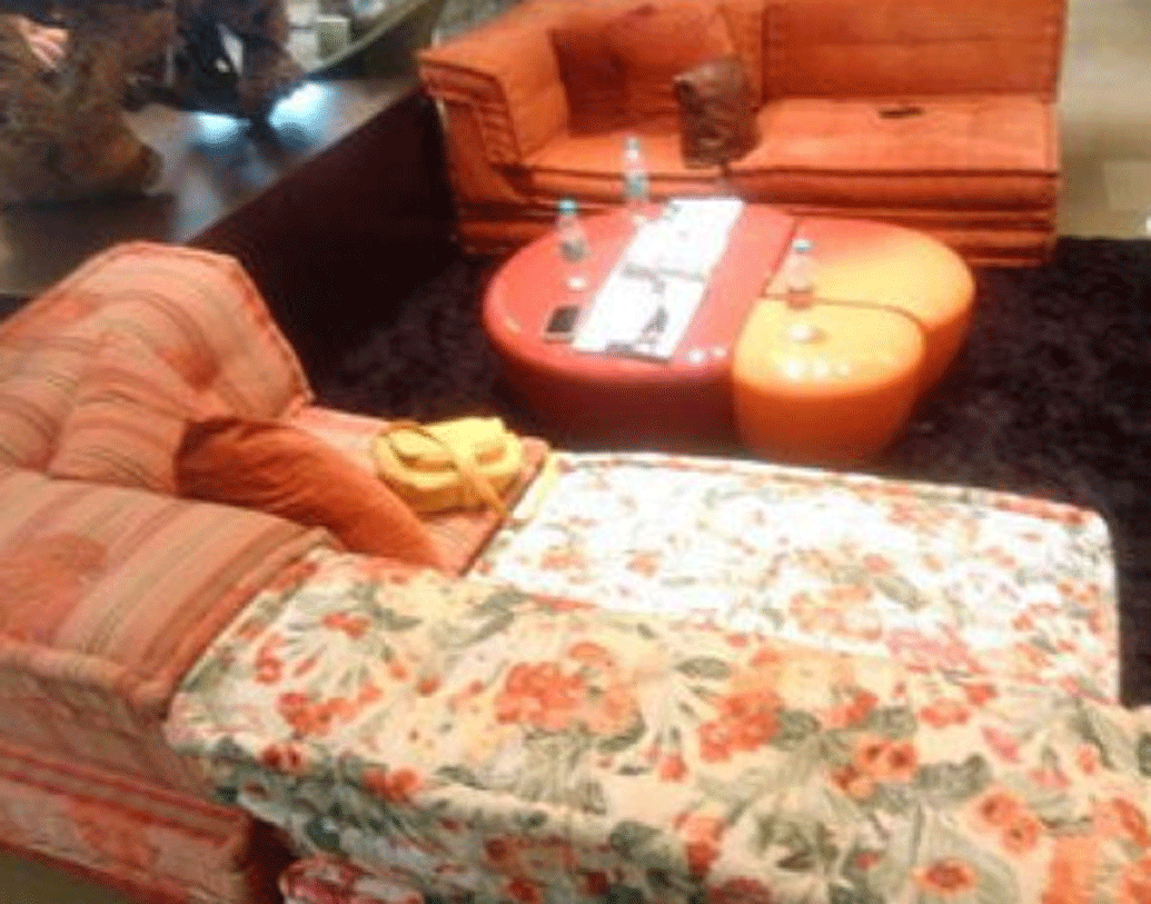 আরামদায়ক সোফা আর ছোট একটা টেবিল। এই ঘরেই পরিবারের সকলে একসঙ্গে বসে টিভি দেখেন। আড্ডা মারেন। তাই এর নাম ‘ফ্যামিলি রুম’।