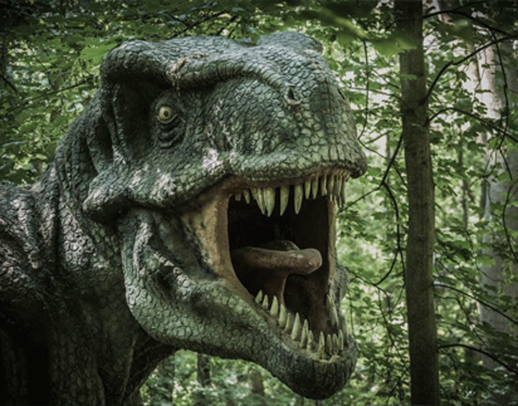 টিরানোসরাসের নাম শুনলেই পিলে চমকে ওঠে কিছুটা। কিন্তু জানেন কি এই টিরানোসরাসদের থেকেও ভয়ানক প্রাণীর অস্তিত্ব ছিল? তার নাম প্লিওসর।