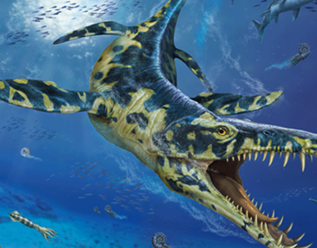 সম্প্রতি ১৫ কোটি বছর পুরনো সেই প্লিওসরের জীবাশ্মের সন্ধান পেয়েছেন বিজ্ঞানীরা। বিশালাকার সেই জীবাশ্ম দেখে তাজ্জব হয়েছেন তাঁরা।