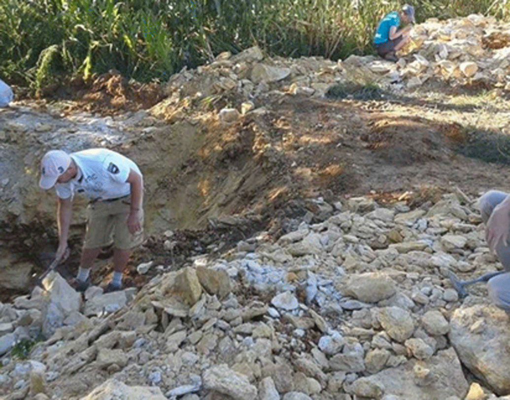 এই নতুন অনুসন্ধানের কথা ‘প্রসেডিংস অব দ্য জিওলজিস্ট অ্যাসোসিয়েশন’ নামক জার্নালে প্রকাশিত হয়েছে। এই খোঁজ বিজ্ঞানের পক্ষে খুবই গুরুত্বপূর্ণ, মনে করছেন বিজ্ঞানীরা।