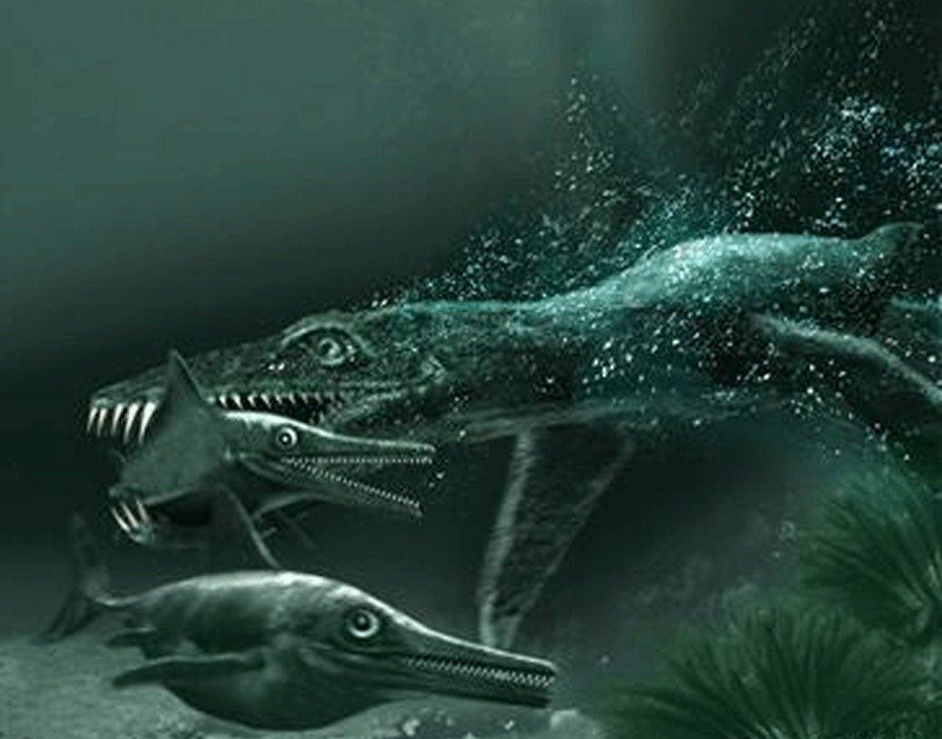 তবে বিশালাকার এই প্লিওসররা সমুদ্রে বাস করত। সাঁতারের সুবিধার জন্য তাদের পাগুলো ছিল মাছের পাখনার মতো।