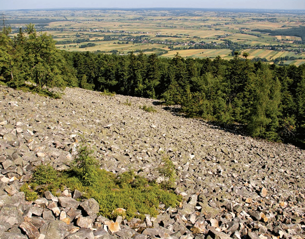 পোল্যান্ডে এই অঞ্চলটিতে প্রচুর জীবাশ্মের সন্ধান মিলেছে। এর আগে ৮০ কোটি বছরের পুরনো এক বিশাল সামুদ্রিক প্রাণীর জীবাশ্ম উদ্ধার করেছিলেন বিজ্ঞানীরা।