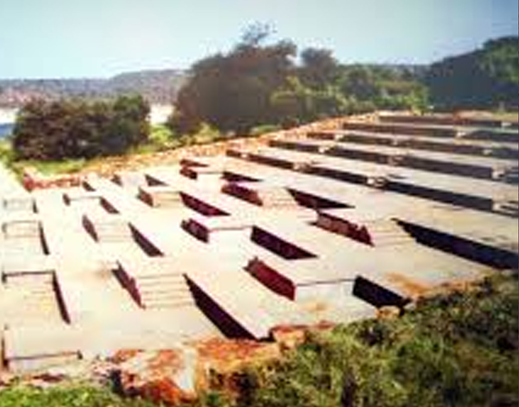 কিন্তু তার বিনিময়ে এই বাঁধ গ্রাস করেছে ইতিহাসের অমূল্য আকর। এর গভীরে ঘুমিয়ে আছে প্রায় ১৭০০ বছরের প্রাচীন নগরী। দাক্ষিণাত্যে সাতবাহন ব‌ংশের পতনের পরে ক্ষমতায় এসেছিল ইক্ষ্বাকু বংশ। এর প্রতিষ্ঠা করেছিলেন বশিষ্ঠপুত্র চামতামুলা। রামায়ণের ইক্ষ্বাকু বংশের সঙ্গে এর কোনও সম্পর্ক নেই। ঐতিহাসিকদের ধারণা, এই বংশ ইচ্ছা করেই এই উপাধি নিয়েছিল, রামচন্দ্রের সঙ্গে ঘনিষ্ঠতা প্রমাণের জন্য।  (ছবি: সোশ্যাল মিডিয়া)