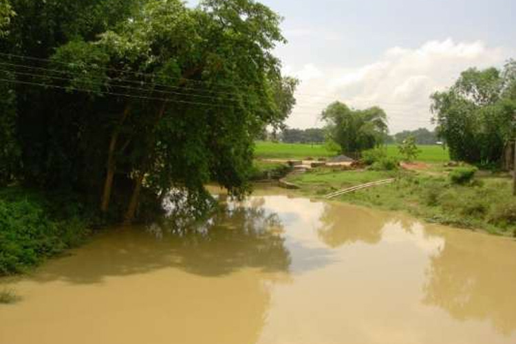 ছবি: সংগৃহীত।