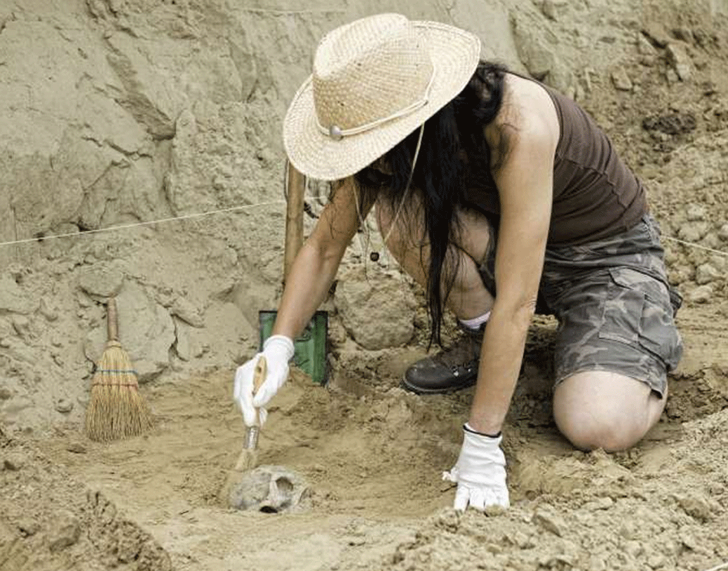 সোনার গয়না ছাড়াও কারুকার্য করা কাচের নানা আকারের টুকরো উদ্ধার হয়েছে। এগুলো মিনোয়ানরা ব্যবসার কাজে লাগাতেন, মনে করছেন ইতিহাসবিদরা।