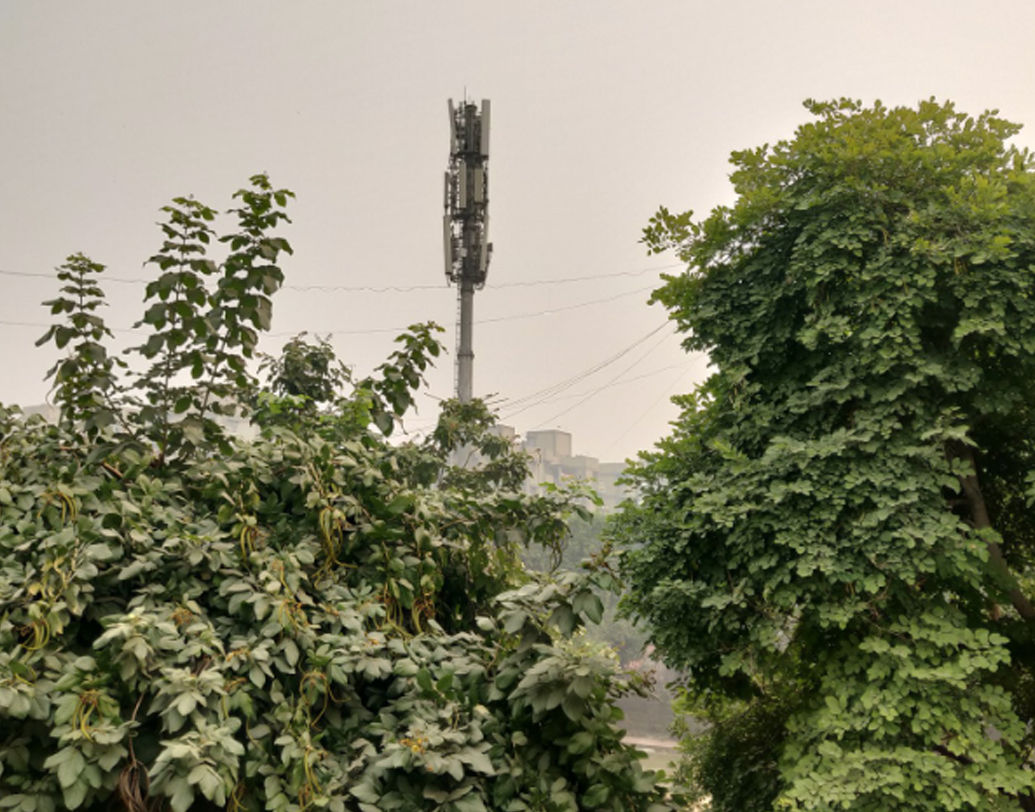 এক দিকে, আতসবাজির ধোঁয়া, তার উপর পার্শ্ববর্তী দুই রাজ্য পঞ্জাব ও হরিয়ানায় শস্যের গোড়া পোড়ানো— দুইয়ের মিশেলে শ্বাসরুদ্ধ হয়ে পড়ে রাজধানী।