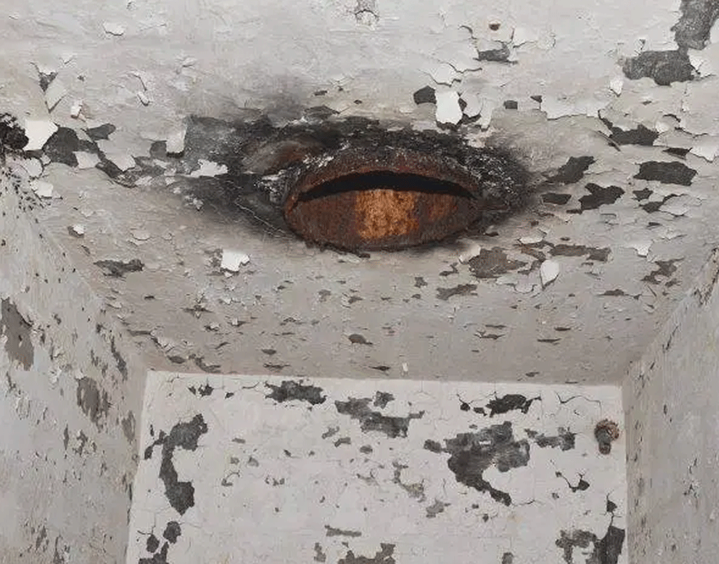 কিন্তু খাদ্যের সন্ধানে কলোনির শ্রমিক বা কর্মী পিঁপড়েদের পাইপ থেকে বাইরে বেরতে হয়। ওই পাইপের কাছেই আরও একটি ভেন্টিলেশন পাইপ রয়েছে।